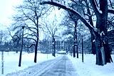 preview cold