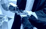 preview cold