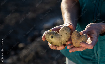 image to crop