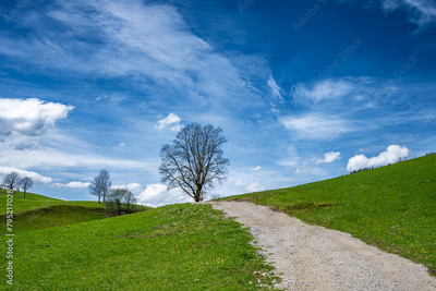 image to crop