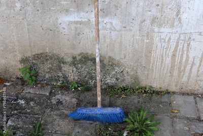 image to crop