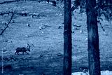preview cold