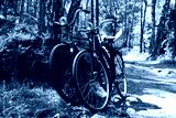 preview cold