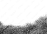 preview bw