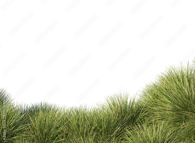 image to crop