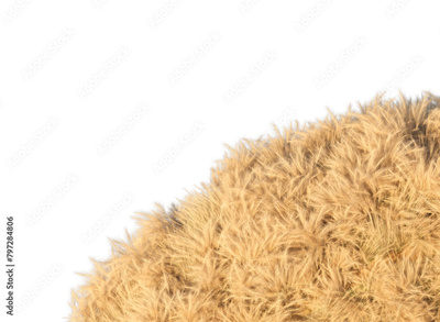 image to crop