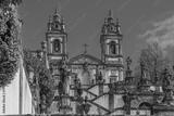 preview bw