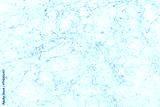 preview cold