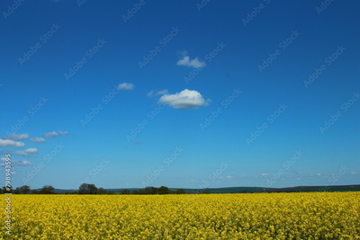 image to crop