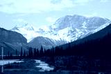 preview cold