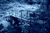 preview cold