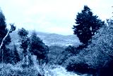 preview cold