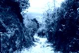preview cold