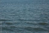 preview original