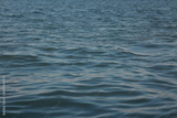preview original