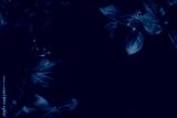 preview cold