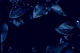 preview cold