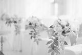 preview bw