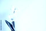 preview cold