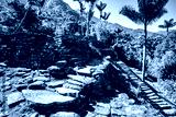 preview cold