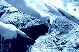 preview cold
