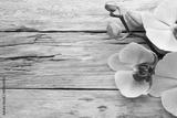 preview bw