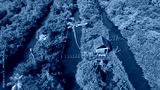 preview cold