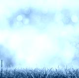 preview cold