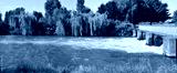preview cold