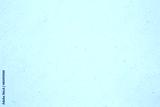 preview cold