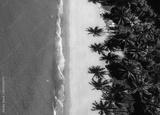 preview bw