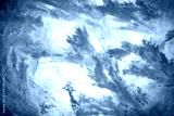 preview cold