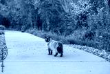 preview cold