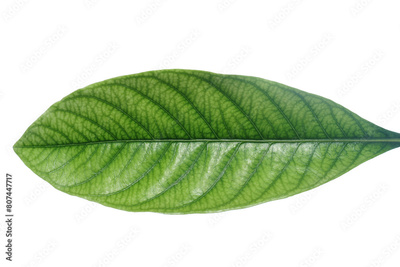 image to crop