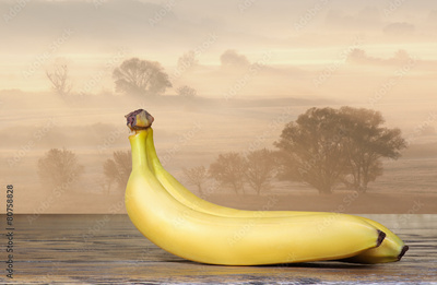 image to crop