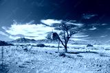 preview cold