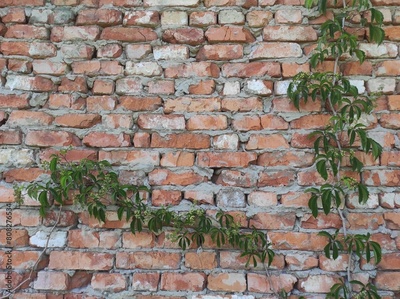 image to crop