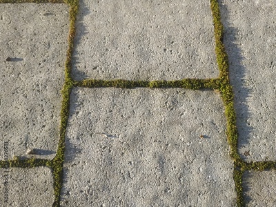 image to crop
