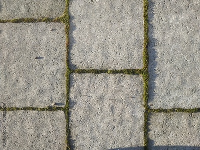 image to crop