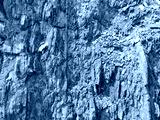 preview cold