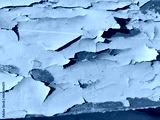 preview cold