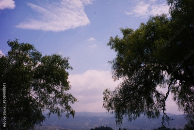 image to crop