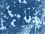 preview cold