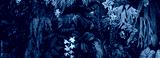 preview cold