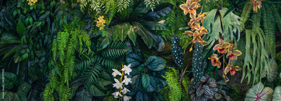 image to crop