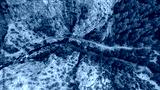 preview cold
