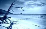 preview cold
