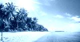 preview cold