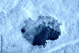 preview cold