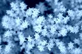 preview cold